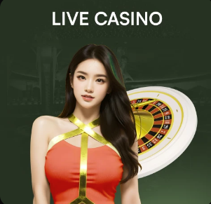 辽宁铁人vs天津津门虎首发：邦本宜裕、巴顿先发，热菲尼奥出战